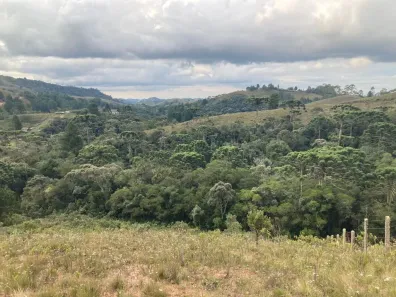 Lote/Terreno à venda, 5920m² no Parque Ferradura, Campos do Jordão