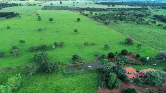 Fazenda/Sítio com 3 Quartos à venda, 296208m² no , Bela Vista de Goiás