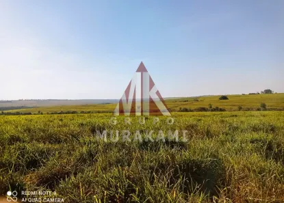 Fazenda/Sítio com 1 Quarto à venda, 250m² no Zona I, Umuarama