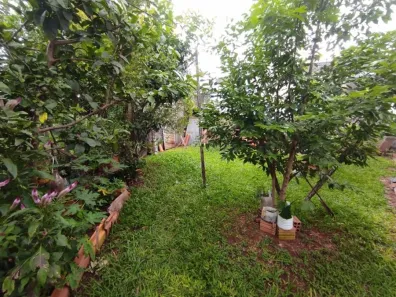 Casa com 3 Quartos à venda, 100m² no Santa Felicidade, Cascavel