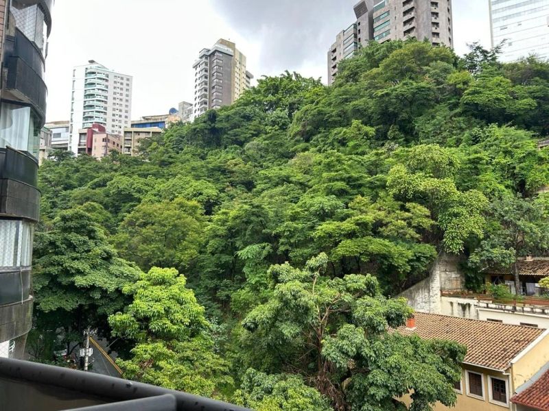 Foto 7