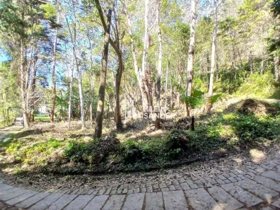 Lote/Terreno à venda, 1400m² no Mury, Nova Friburgo