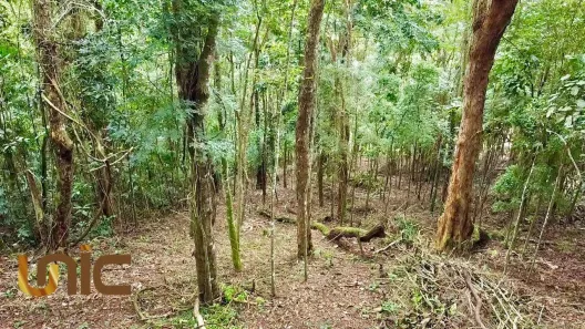 Lote/Terreno à venda, 1560m² no Golfe, Teresópolis