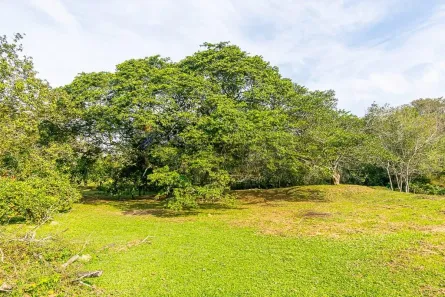 Fazenda/Sítio com 2 Quartos à venda, 210m² no Ari Dias (Ipiranga), Gravataí
