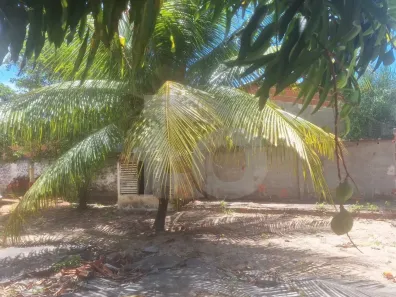 Fazenda/Sítio com 2 Quartos à venda, 150m² no , Barra dos Coqueiros