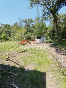 Fazenda/Sítio à venda, 1250m² no Jardim Aguapeu, Itanhaém