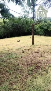 Lote/Terreno à venda, 2200m² no Cardeal, Elias Fausto