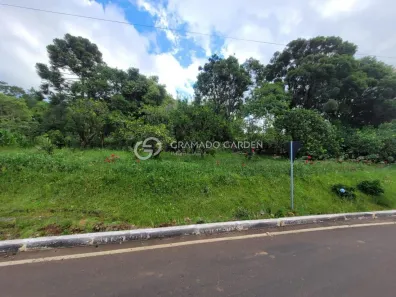 Fazenda/Sítio com 1 Quarto à venda, 5000m² no Linha Tapera, Gramado