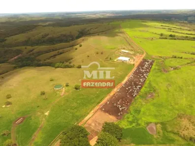 Fazenda/Sítio à venda, 500m² no , Ipameri