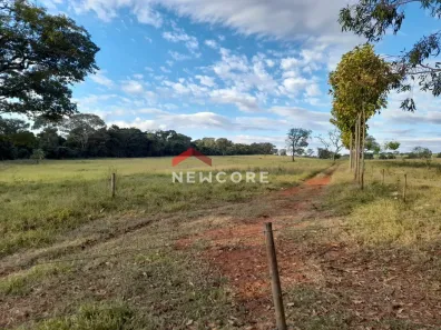Fazenda/Sítio com 5 Quartos à venda, 570000m² no , Ribeirão Bonito