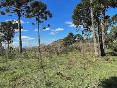 Fazenda/Sítio à venda, 109000m² no , Urupema