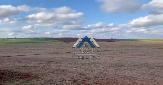 Fazenda/Sítio com 5 Quartos à venda, 750m² no Rural, Itaberá