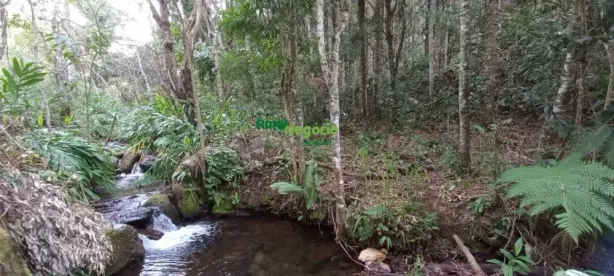 Fazenda/Sítio à venda, 266800m² no , Marmelópolis