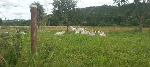 Lote/Terreno à venda, 20000m² no Zona Rural, Paraopeba