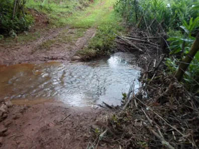 Lote/Terreno à venda, 60000m² no , Rio Manso
