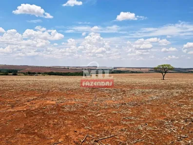 Fazenda/Sítio à venda, 500m² no Centro, Anápolis