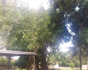 Lote/Terreno à venda, 6900m² no Parque Jair, São José de Ribamar