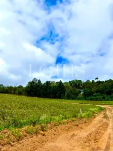 Lote/Terreno à venda, 500m² no Centro, Itapevi