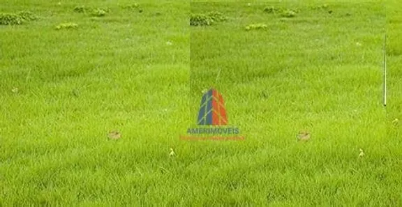 Lote/Terreno para alugar, 312m² no Jardim São Roque, Americana