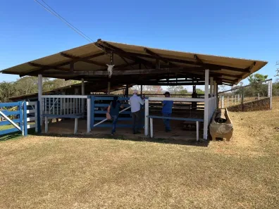 Fazenda/Sítio à venda, 2m² no , Bela Vista de Goiás