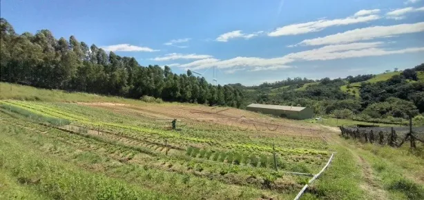 Lote/Terreno à venda, 430m² no Aparecidinha, Sorocaba