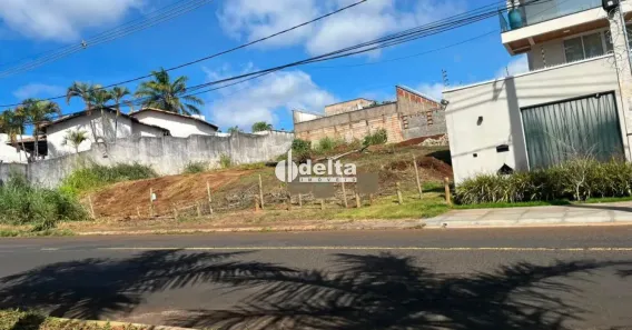 Lote/Terreno à venda, 490m² no Jardim Inconfidência, Uberlândia