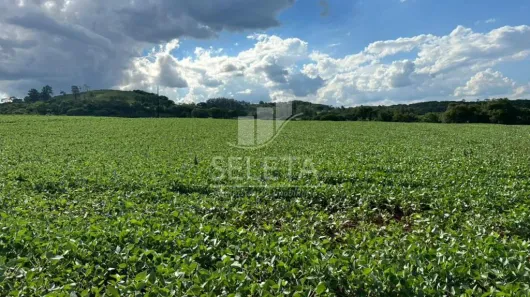 Fazenda/Sítio à venda, 100m² no , São Pedro do Iguaçu