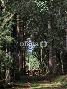 Fazenda/Sítio à venda, 21374m² no Área Rural de Araucária, Araucária