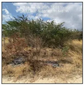 Lote/Terreno à venda, 450m² no Cachoeira Seca, Caruaru