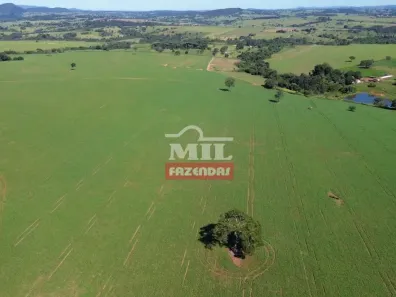 Fazenda/Sítio à venda, 500m² no , Petrolina de Goiás