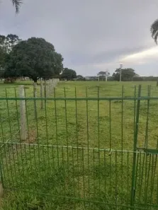 Fazenda/Sítio com 2 Quartos à venda, 57500m² no Barra Dourada, Neves Paulista