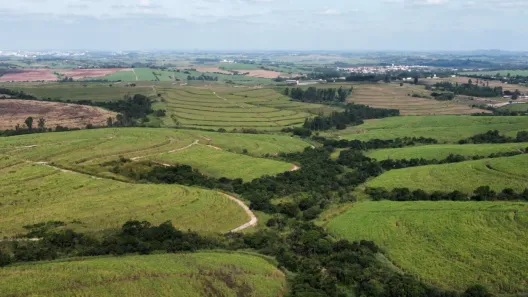 Fazenda/Sítio à venda, 16489m² no Vila Rezende, Piracicaba