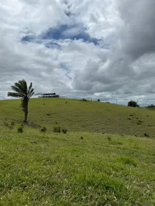 Fazenda/Sítio à venda, 36000m² no Ouricuri, Atalaia