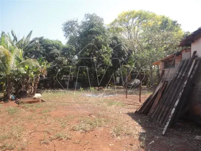 Fazenda/Sítio à venda, 1m² no Centro, Araraquara