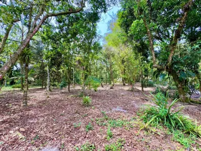 Lote/Terreno à venda, 6639m² no Chácara Glória, Itanhaém