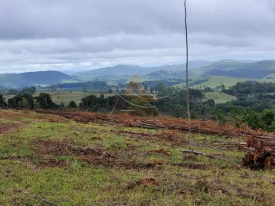 Fazenda/Sítio com 1 Quarto à venda, 10500000m² no Zona Rural, Santo Antônio do Amparo