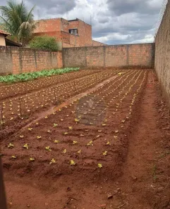 Lote/Terreno à venda, 200m² no Jardim Copacabana, Uberaba