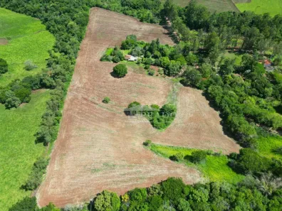 Fazenda/Sítio com 4 Quartos à venda, 220m² no Engenho de Pau, Ibiporã