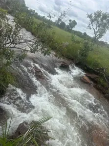 Fazenda/Sítio à venda, 3000000m² no , São Félix do Tocantins