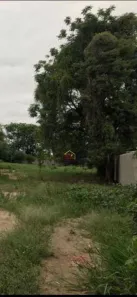 Lote/Terreno à venda, 3000m² no Nossa Senhora do Perpétuo Socorro, Pindamonhangaba