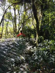 Lote/Terreno à venda, 418m² no Centro, São Francisco de Paula