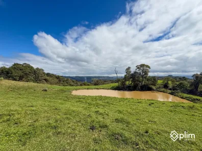 Fazenda/Sítio com 1 Quarto à venda, 32000m² no , Alfredo Wagner