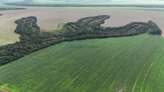 com 3 Quartos à venda, 380m² no , Canarana