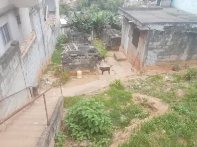 Lote/Terreno com 1 Quarto à venda, 250m² no Jardim São Bento Novo, São Paulo