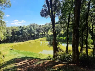 Fazenda/Sítio com 5 Quartos à venda, 30000m² no Marmeleiro, Piraquara