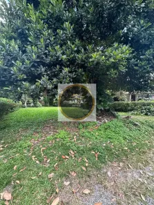 Lote/Terreno à venda, 375m² no Aldeia dos Camarás, Camaragibe
