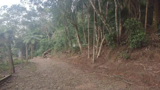 Lote/Terreno à venda, 720m² no Pântano do Sul, Florianópolis