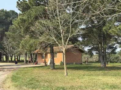 Lote/Terreno à venda, 348098m² no São Luiz do Purunã, Balsa Nova