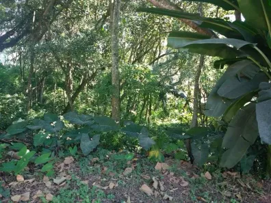 Lote/Terreno à venda, 300m² no Vila Diva, Carapicuíba