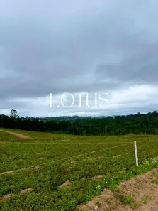 Lote/Terreno à venda, 500m² no Centro, Itapevi